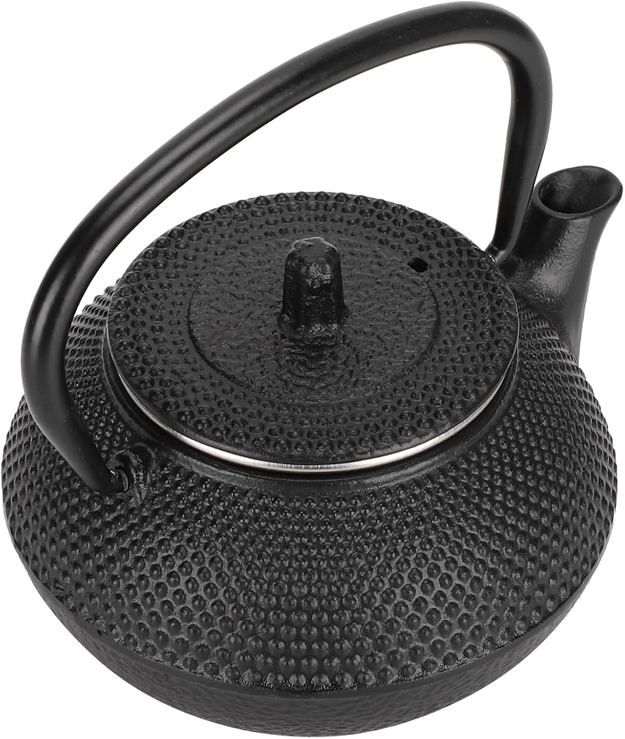 Aramox 300ml Cast Iron Teapot, Japanese Style Iron Kettle with Builtin Strainer, Elegant Plum Blossom Design for Home Use