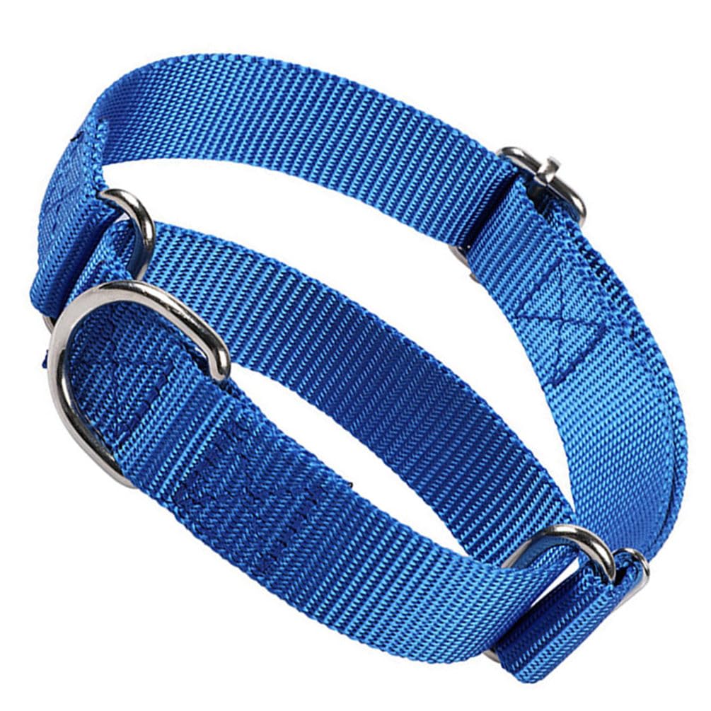Choke Collar For Dogs, Martingale Dog Collar For Medium Dogs Heavy Duty No Slip No Pull Training Dog Choker Collar For Small Medium Large Dog (Blue, M) — image 1