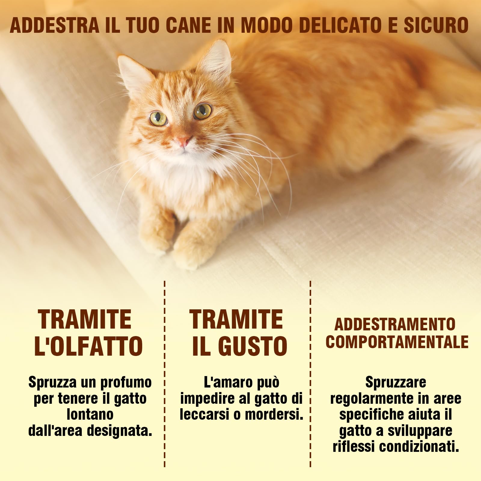 Repellente per Gatti Spray 150ml Naturale per Interni & Esterni, Protegge Divani Tappeti da Graffi