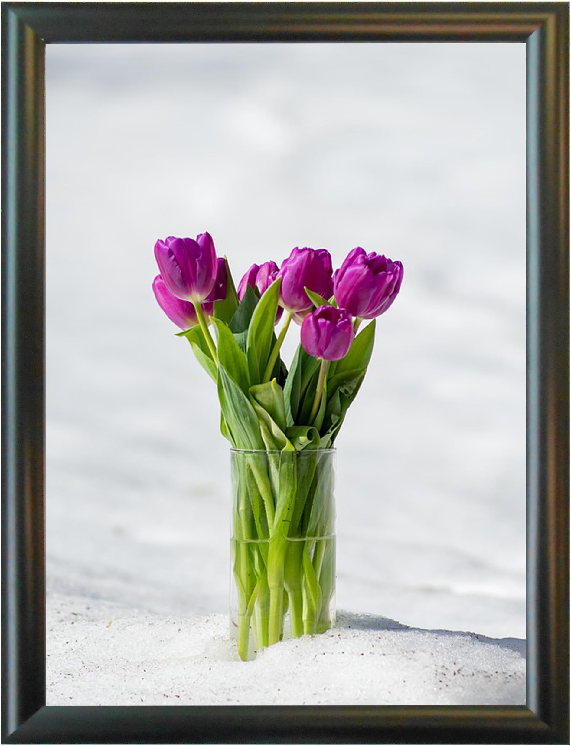 17x22 Black Aluminum Snap Frame 1.0" Profile, Wall Mounted