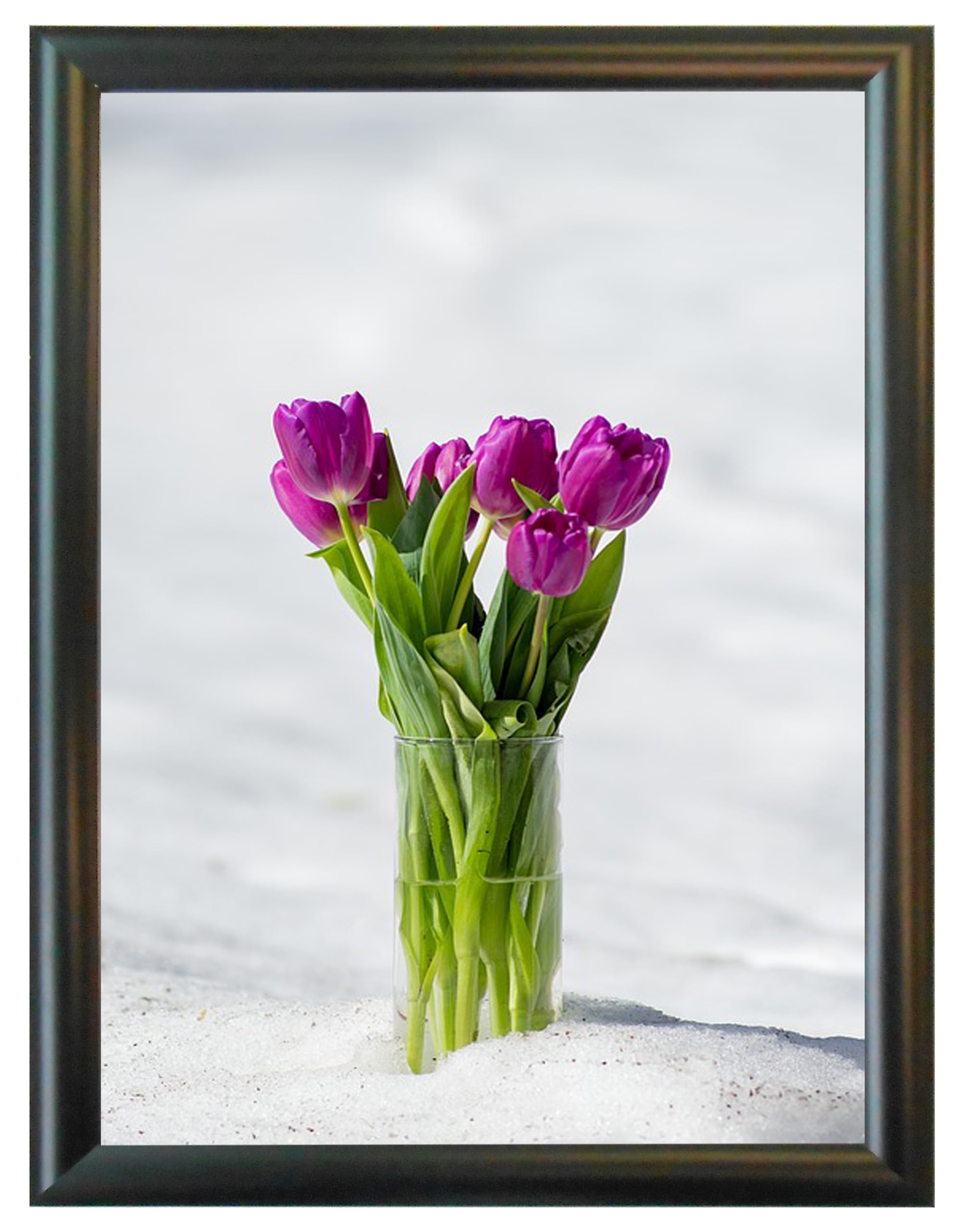 17x22 Black Aluminum Snap Frame 1.0" Profile, Wall Mounted