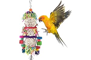 Bissap Conure Toys: Enriching Playtime for Small Parrots