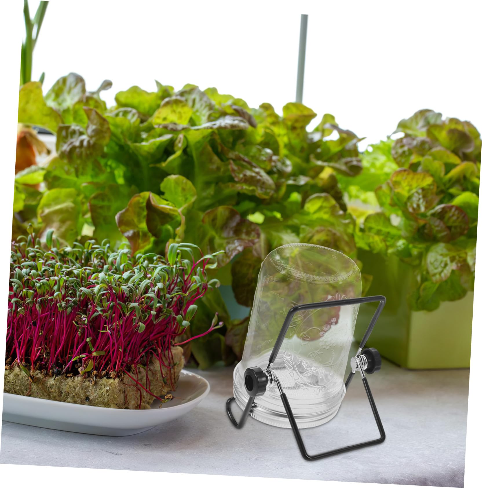 2 Juegos Kit de Germinación de Brotes con Tapa Colador de Acero Inoxidable y Soporte para Frascos de Almacenamiento para Microgreens y Brotes Casa y Fiestas