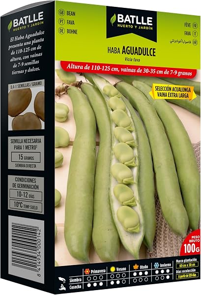 Batlle Gemüsesamen - Puffbohne Aguadulce Ausw. Acualonga (100g) - 1