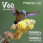 SD UHS-II 128GB Carte V60 - Jusqu'à 130MB/s Vitesse et écriture 250 MB/s Read Speed (en anglais seulement) pour Vloggers professionnels, cinéastes, photographes & Conservateurs de contenu – par Prograde Digital