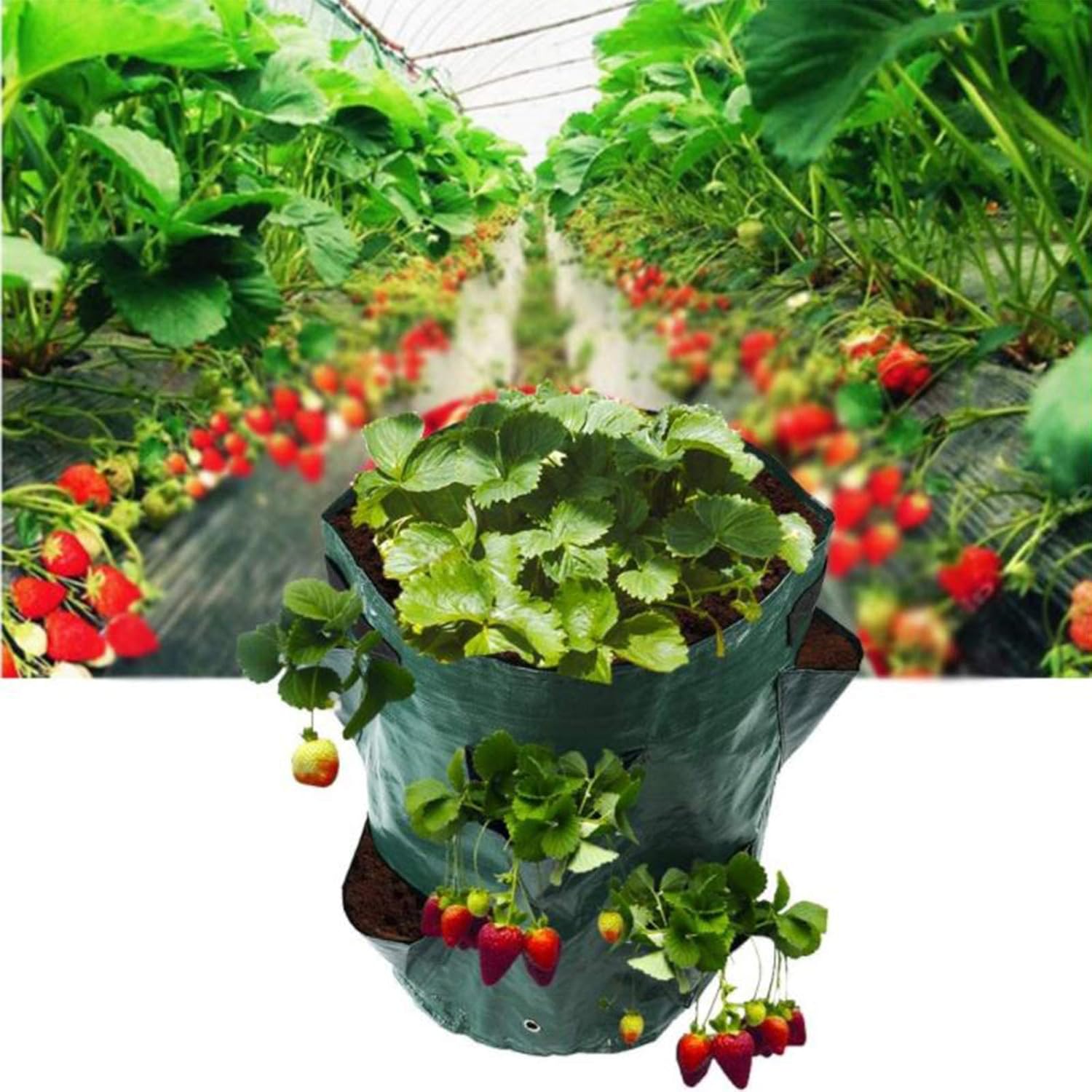 2 Pcs Fabric Pots, Potato Grow Bags 7Gallon Grow Bags, Tomato Planter and Strawberry Planter with 6 Side Planting Pockets, Breathable Felt Plant Container with Handles (Black)