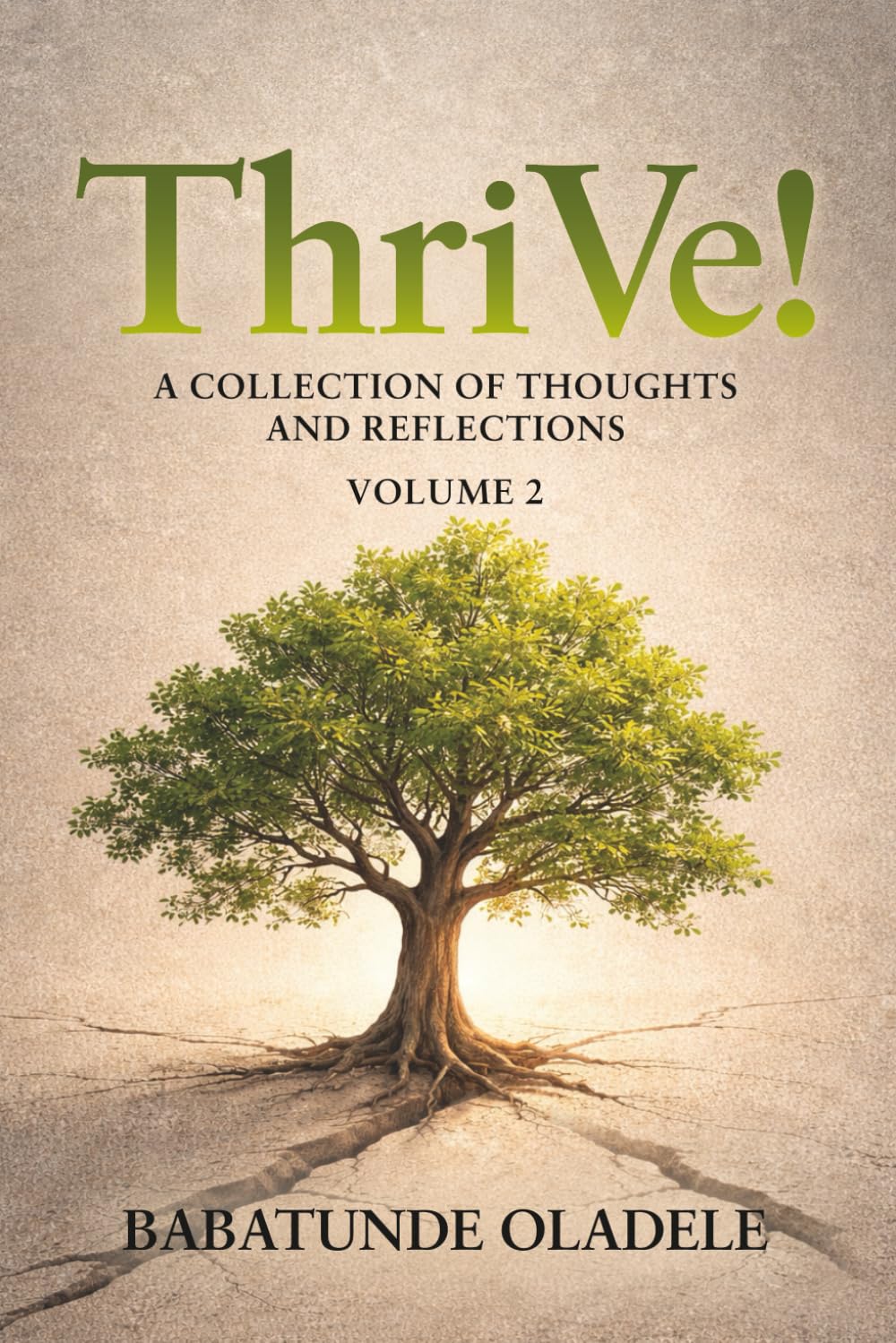 ThriVe!: A Collection of Thoughts and Reflections: 2 (ThriVe! with Babs)