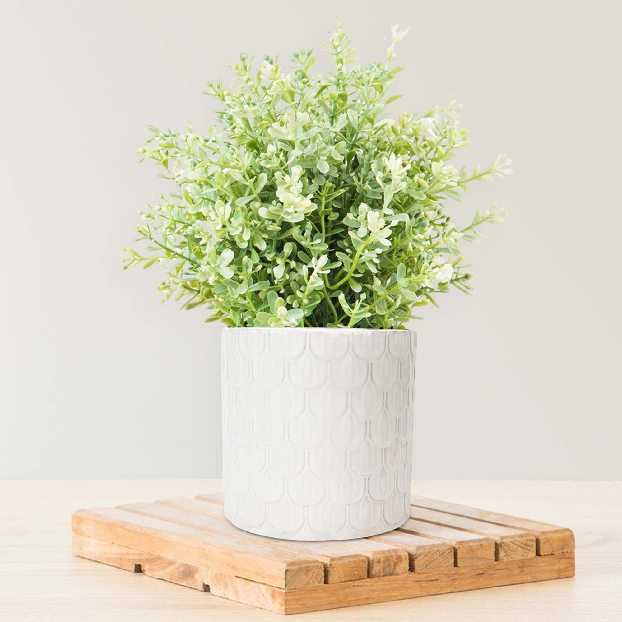 Anko Ceramic Flower Pot for Home Decor | Scalloped Design White Planter for Home, Office, Bedroom, Balcony, Living Room | 21 Cm (H) x 21.5 Cm (D) (1 Pc) (B0BWK87M6V) Amazon Price History, Amazon Price Tracker