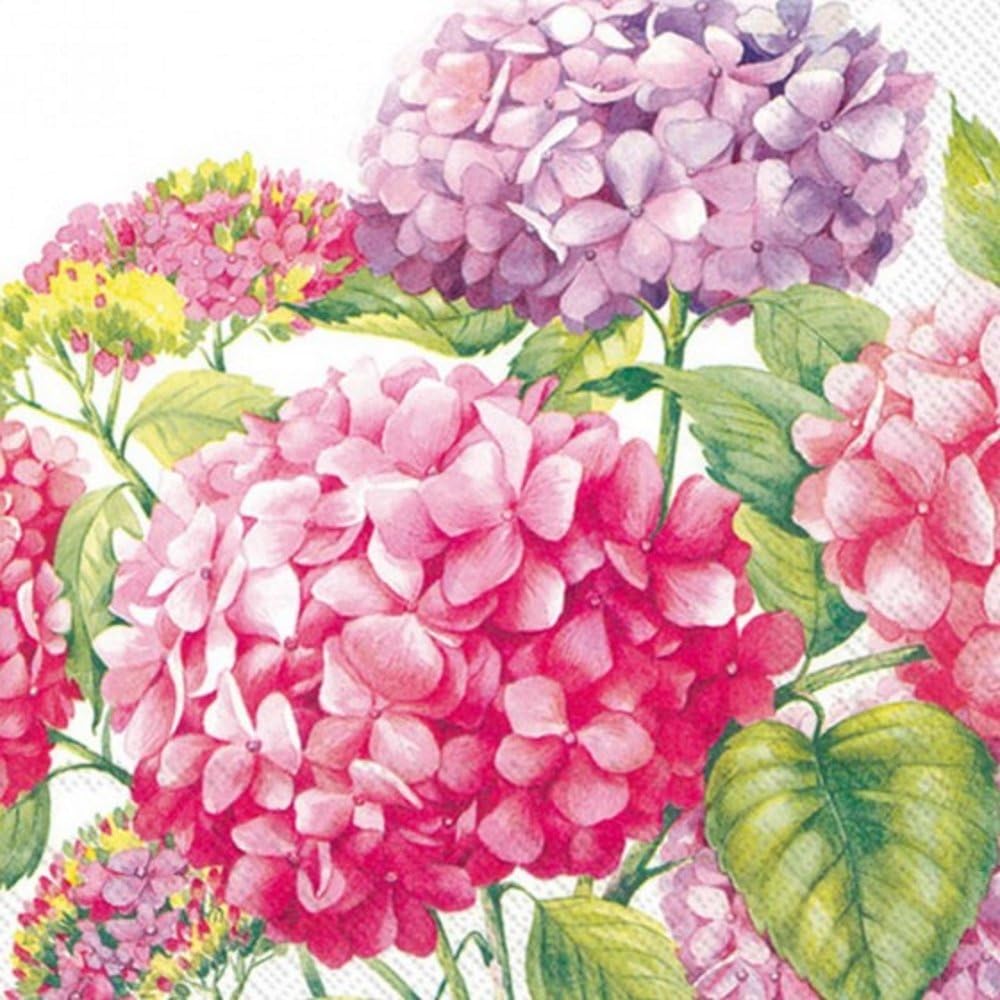 Sea of Pink Blossoms White Pink Hydrangea Flowers Pepper Lunch Napkins 20 in Pack IHR