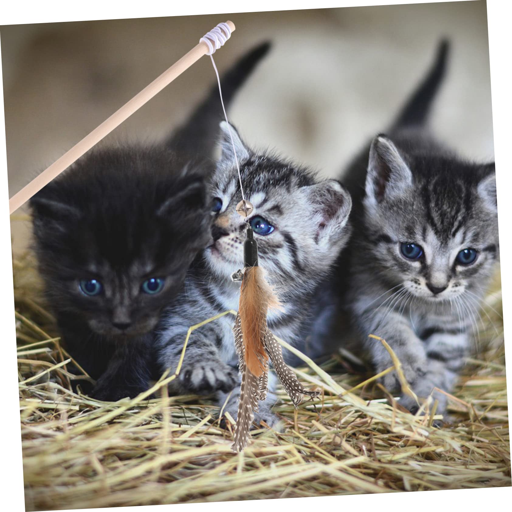 FRCOLOR Pz Ricarica Teaser Per Gatti Sostituzioni Di Bacchette Giocattolo Per Gatti Canna Da Pesca Interattiva Per Gatti Tuta Da Ginnastica Giocattoli Perla Piuma Impostare