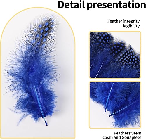 Miniatura 3 de THARAHT Spotted Feathers - 120 plumas pequeñas naturales de faisán de Guinea a granel de 2 a 3 pulgadas para manualidades, sombreros, atrapasueños,