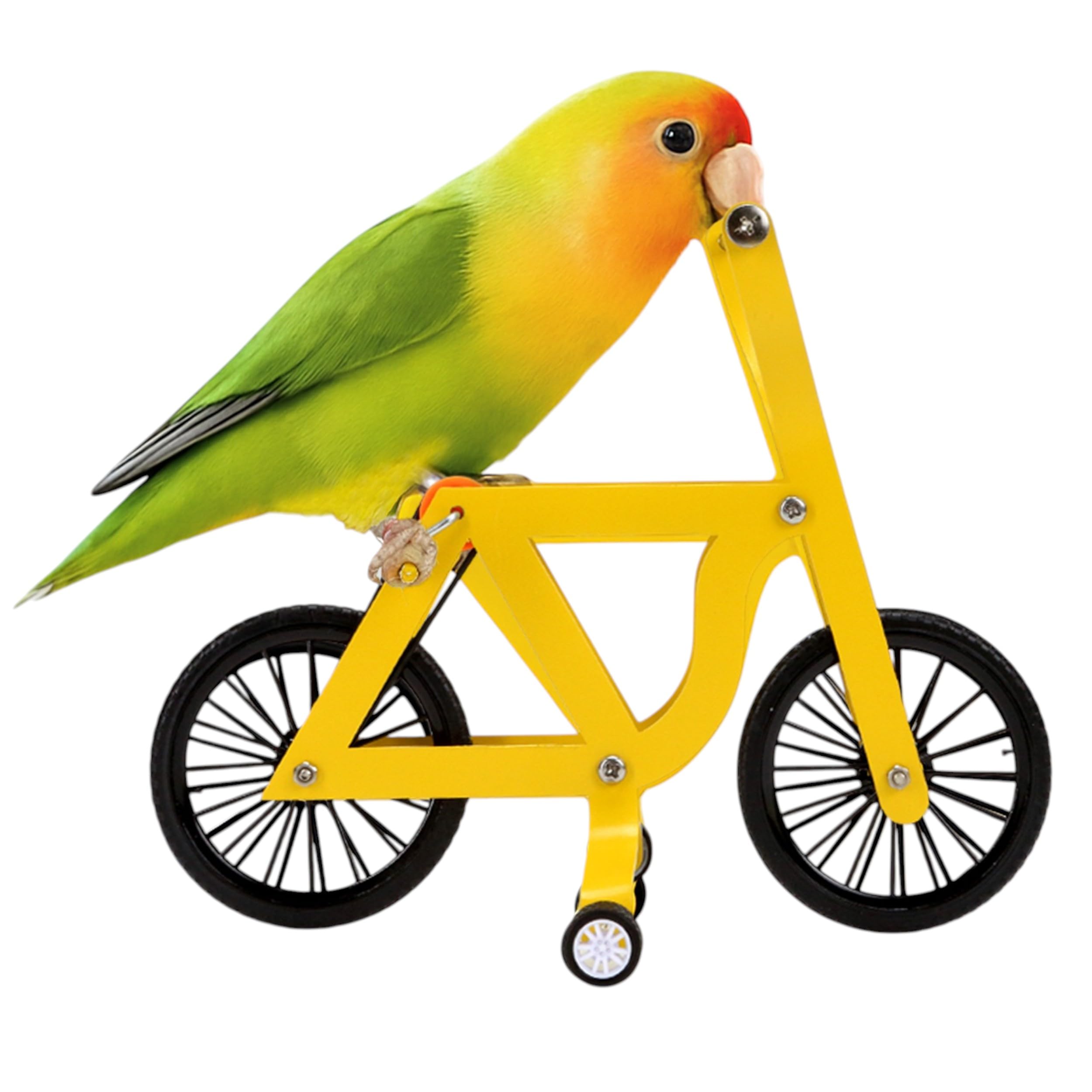 Bird Intelligence Training Toy Mini Bicycle Parakeet Parrot Bike Trick Educational Puzzle Bird Foot Talon Toy for Small Medium Lovebird Conures Cockatoo Exercising Interactive Table Top Prop, Large