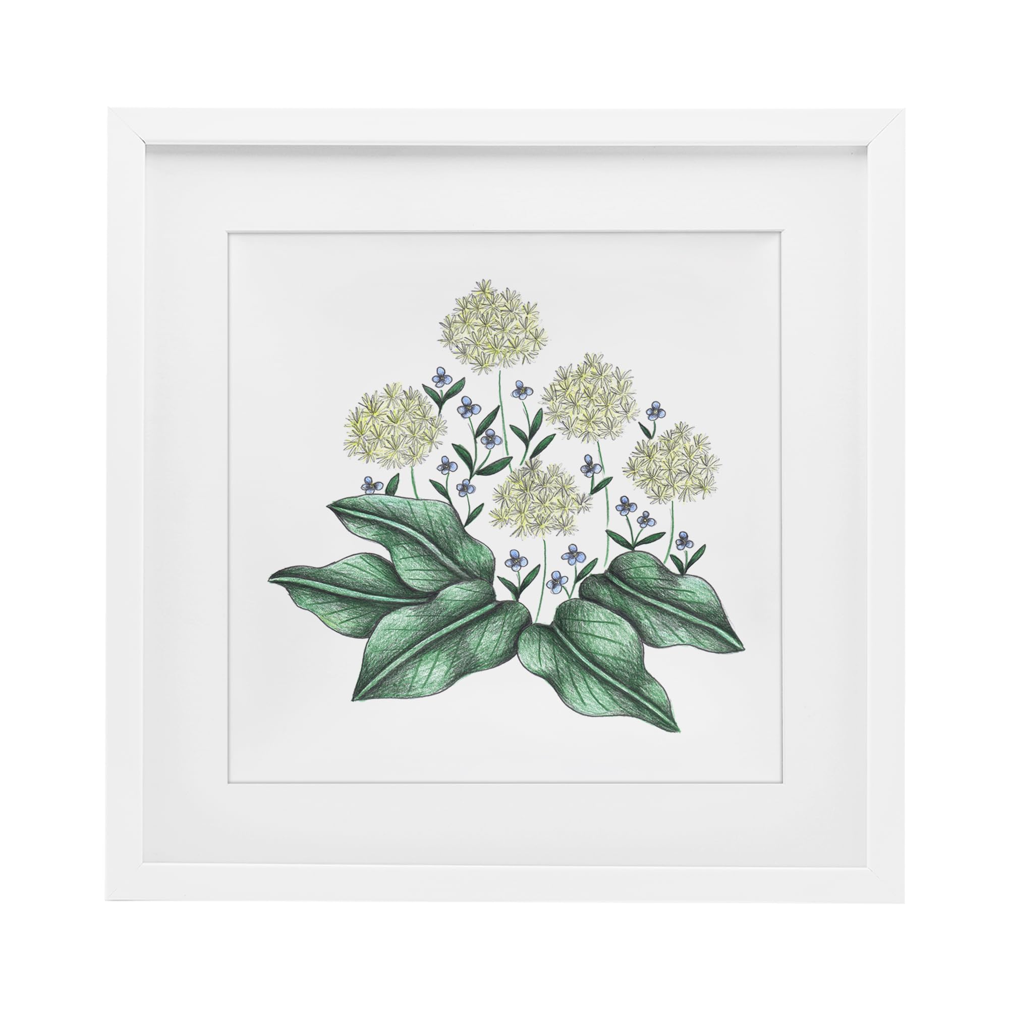 Impression Hello Wildflower Stupell : croquis vintage pour mur vide