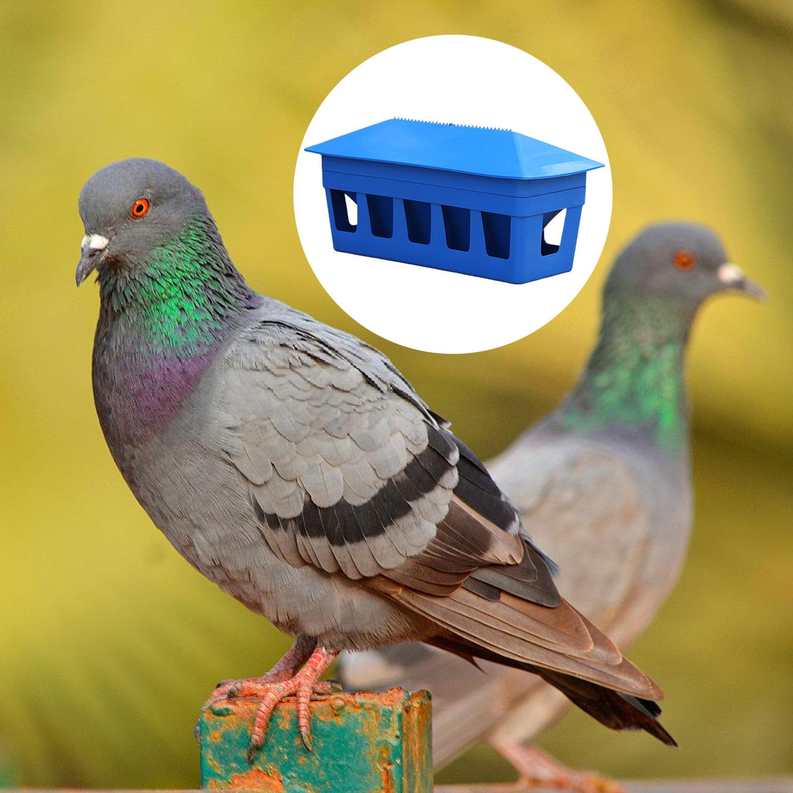 Automatischer Futterspender für Tauben mit 12 Futterlöchern und großer Kapazität von 3,2 kg für effiziente Vogelpflege