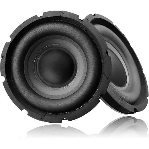 FABTEC 6.5-Inch Car Door Subwoofer 40W RMS