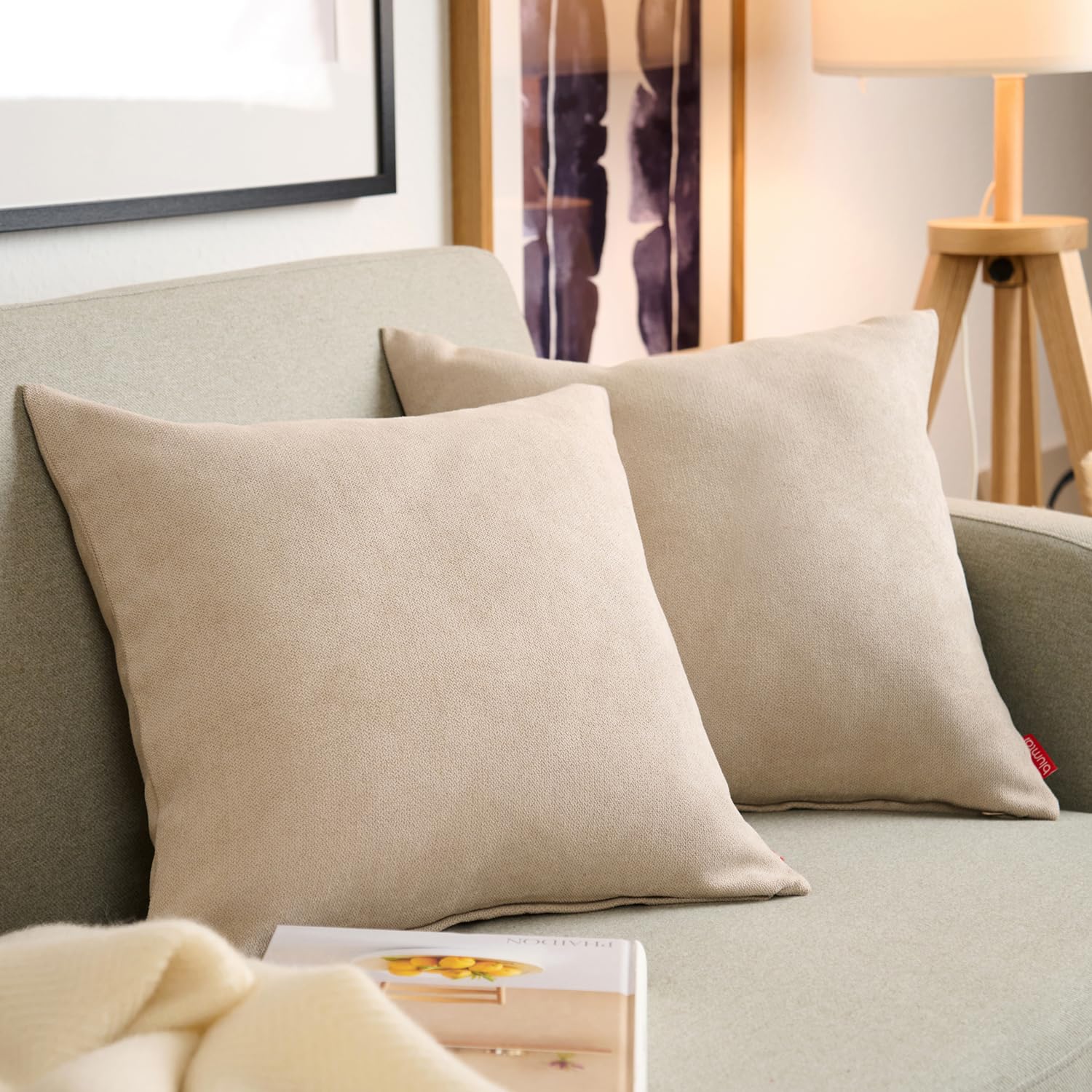 Blumtal Federe Cuscini Divano in Ciniglia, Copricuscini Divano, Federe Cuscino Divano, 2 Pezzi, 45 x 45cm, Taupe