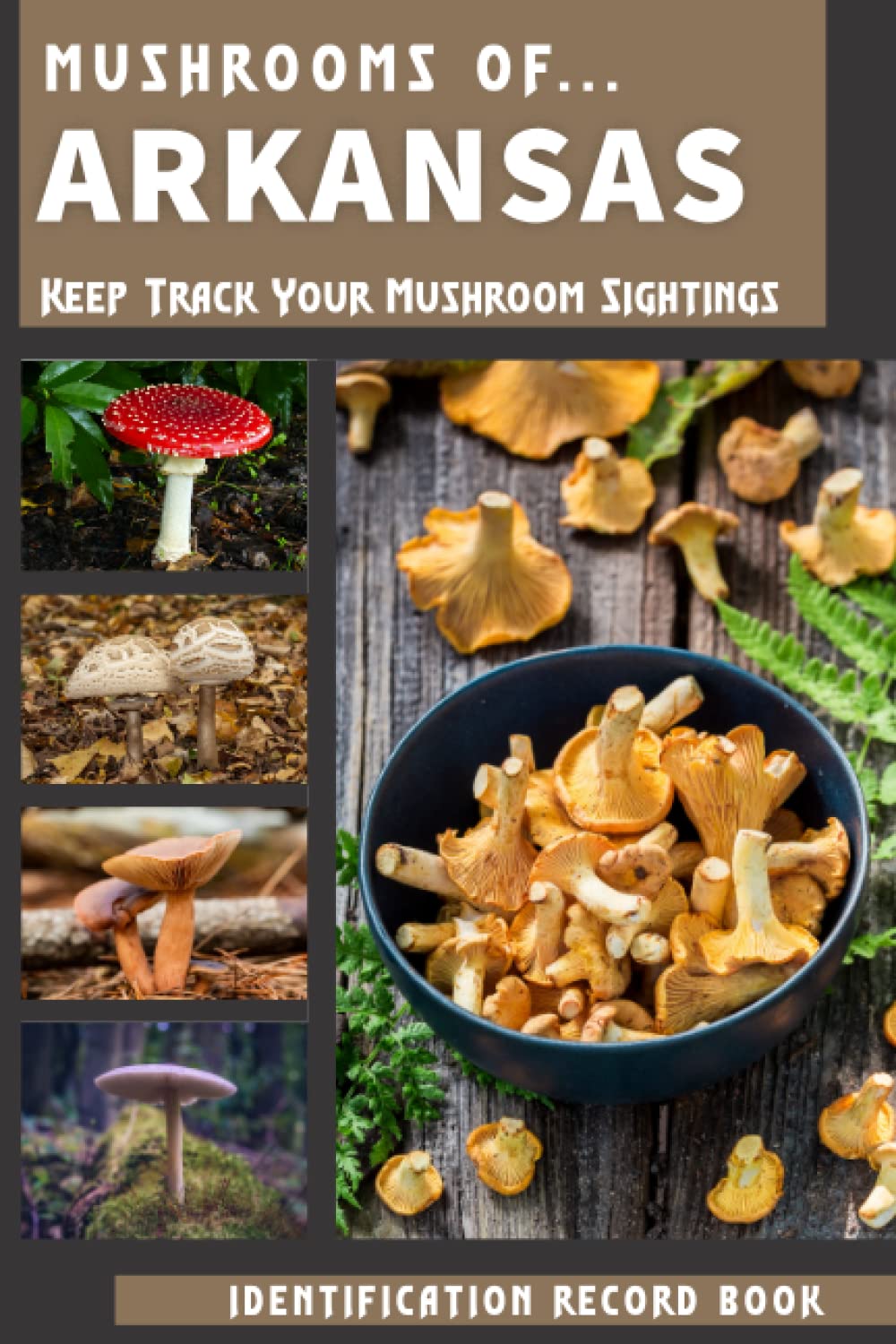 Mushrooms Foraging In Arkansas Book Wild Mushrooms Gathering