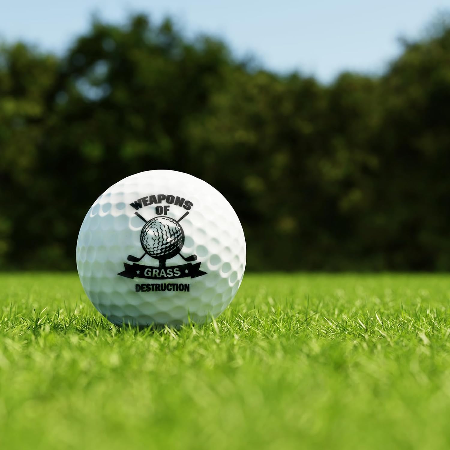 Fancy Land Funny Golf Ball Gift for Dad Golfers Grandfather Birthday Christmas Bulk Funny Gifts - Image 8