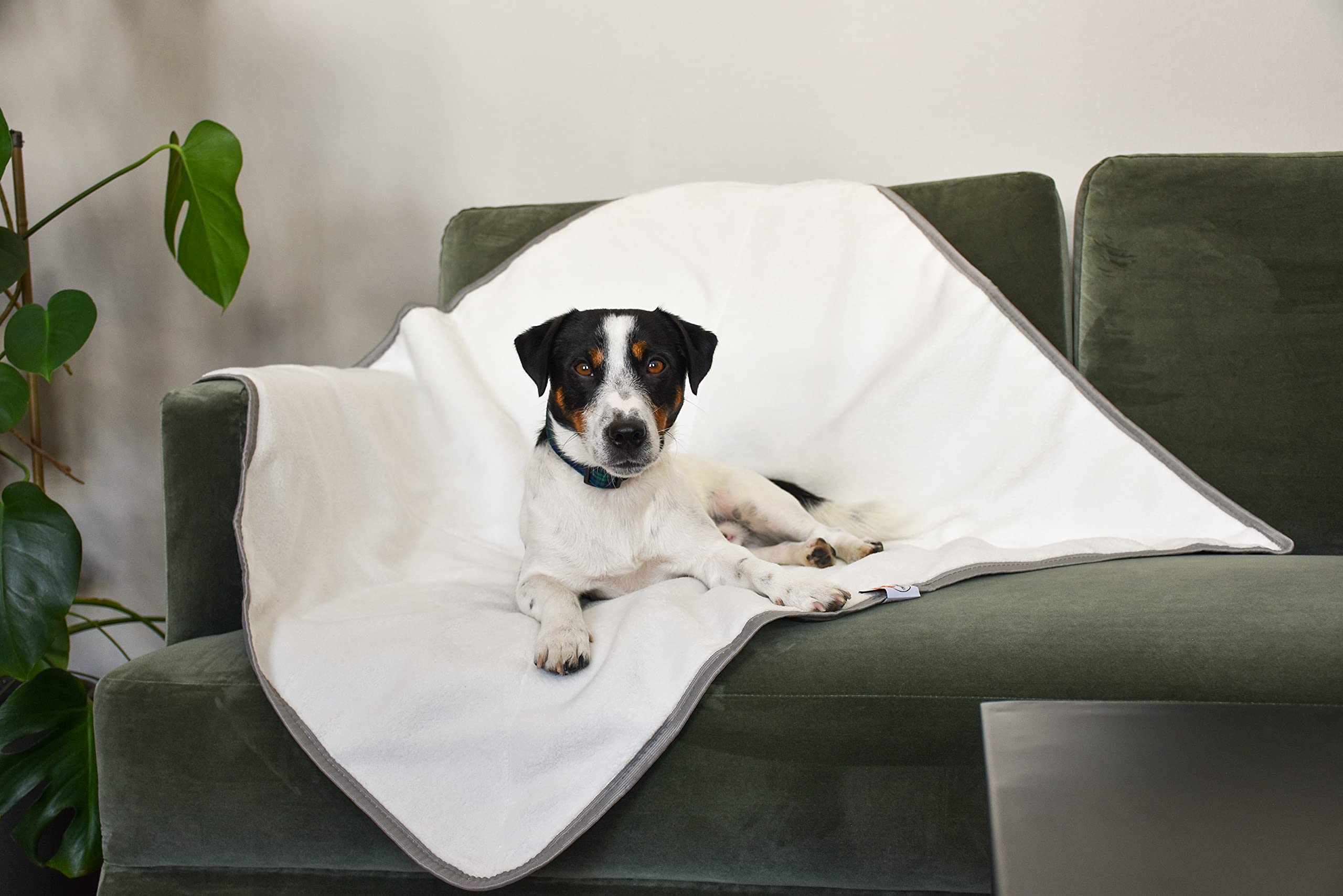 Sleepy Fox Snuggle - Manta para gatos y perros con forro polar Sherpa (100 x 140 cm), color gris