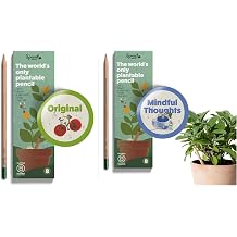 Sprout World Plantable Pencils | Bundle Original + Mindful Thoughts | 16 HB Pencils with Flower, Herb & Vegetable Seeds | Stay Grounded & Grow Change | Eco-Friendly Gift | FSC Certified Wood