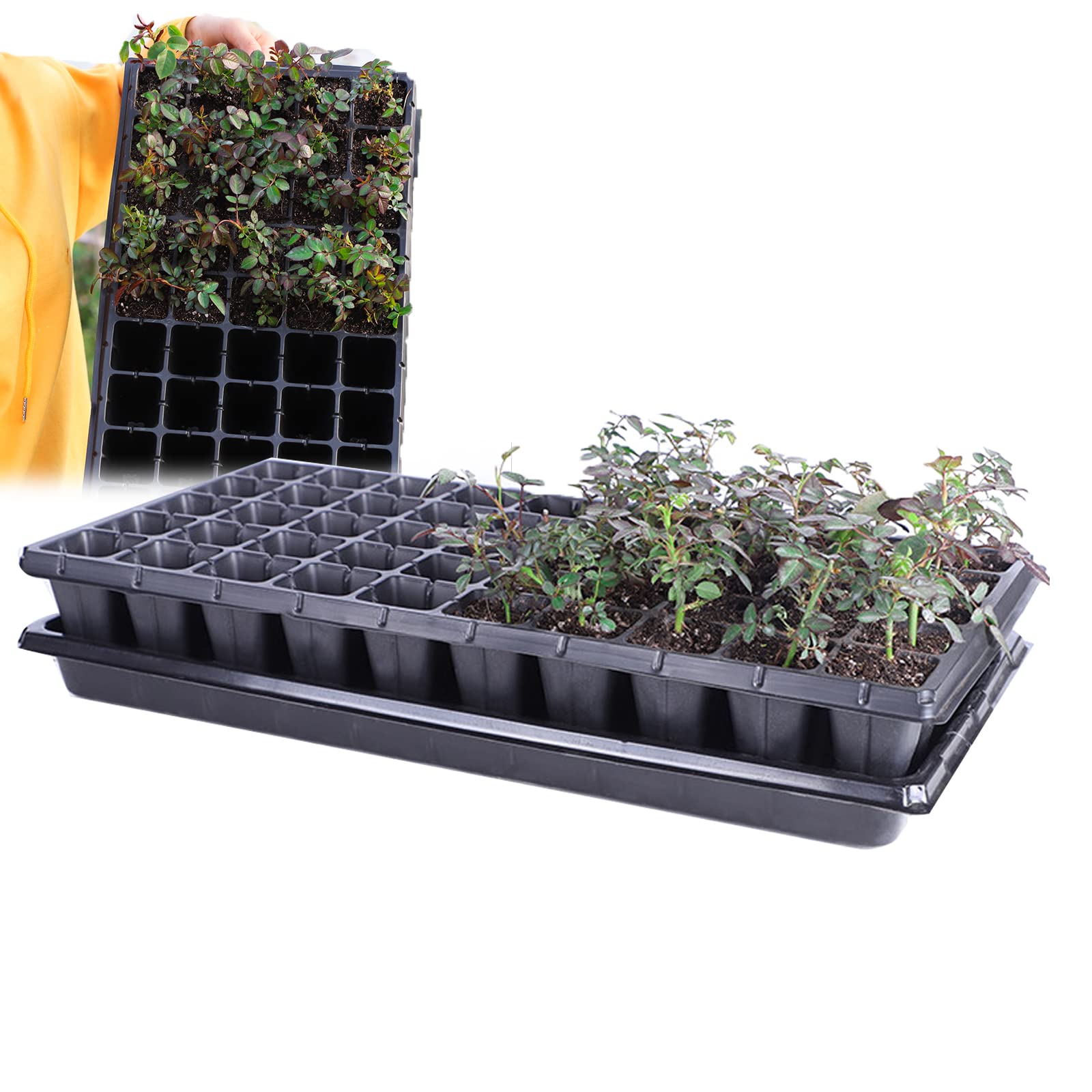 5 Pièces 50 Cellules Plateaux de Semences Bac à Semis Mini Serre pour Semis Plateau de Germination Plateaux Graines Culture pour Jardin Légume Fruit Fleurs