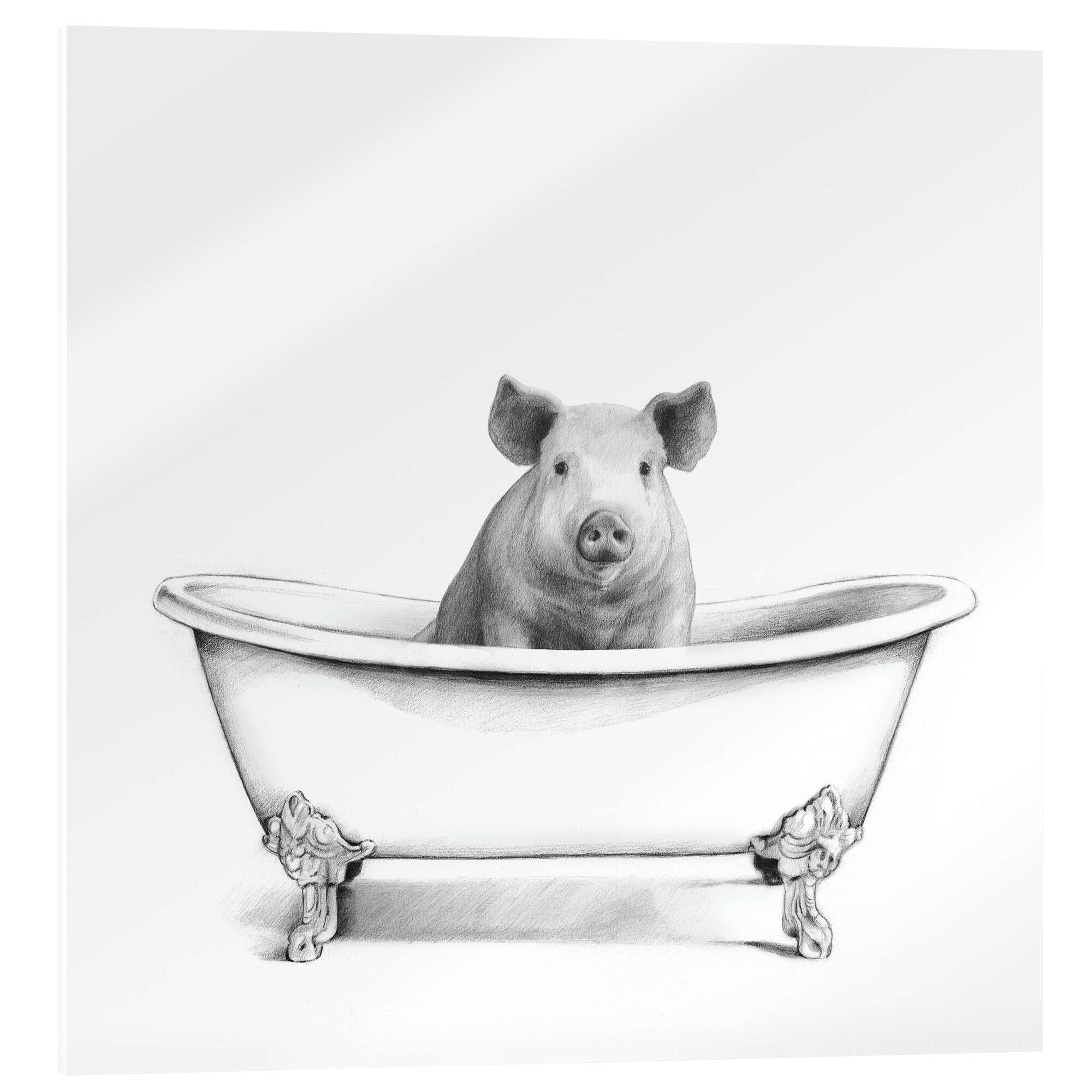Pig in the Tub Obraz na szkle akrylowym