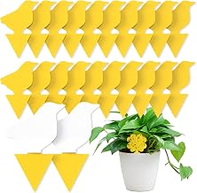 Wyewye 20 PCS Fruit Fly Traps, Double-sided Sticky Catcher for Fungus Gnats & Multiple Insects, Eco-Friendly Indoor Plant Fly Control to Protect Fruits & Vegetables