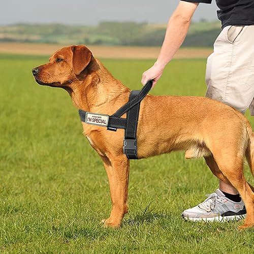 Miniatura 6 de Annchwool Arnés sin tirones para perro, con mango acolchado suave, tira reflectante a prueba de fugas y ajuste rápido para ajustar el arnés del