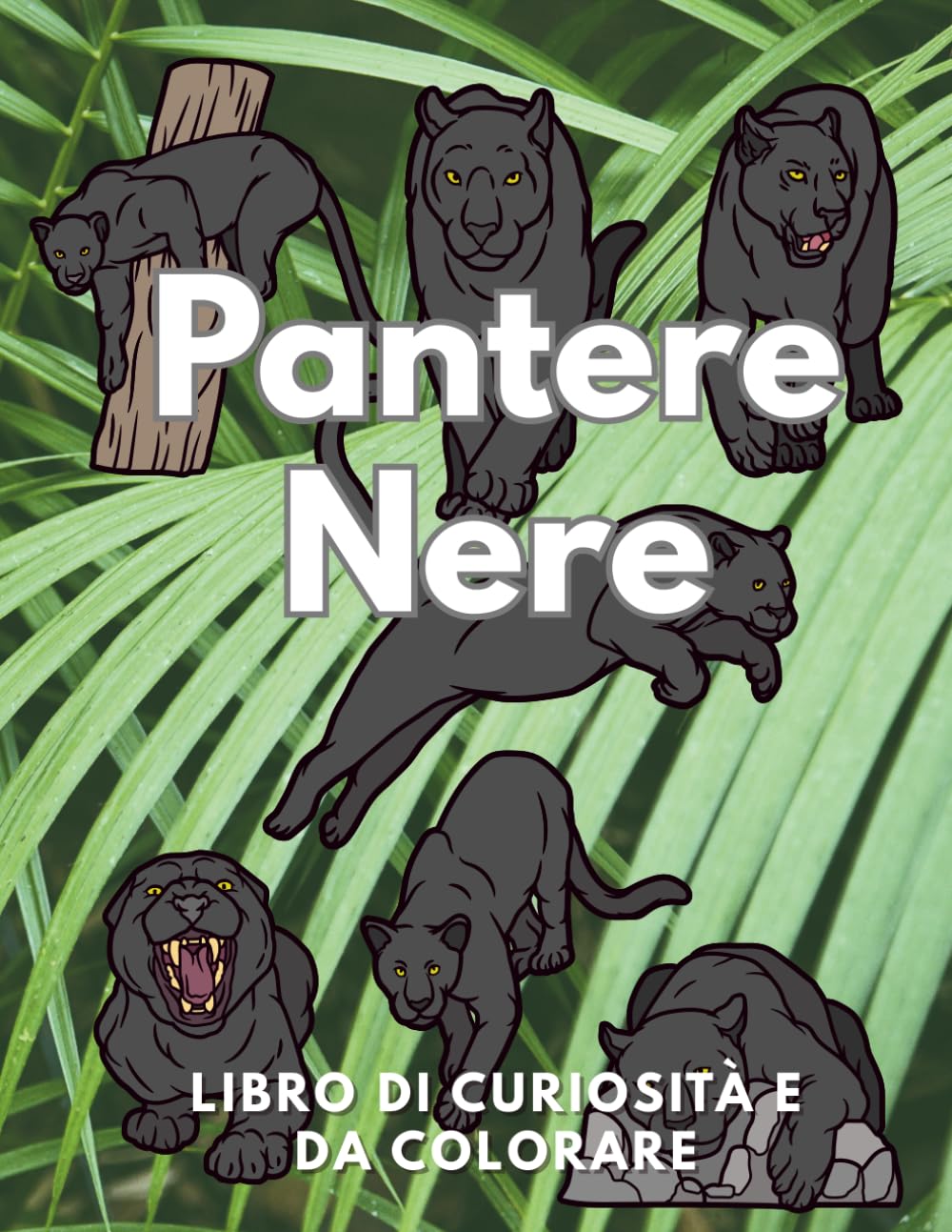 Pantera Nera: Fatti e Libro da Colorare: Libro delle attività per bambini dai 2 ai 12 anni (Fatti sugli animali e colorazione)