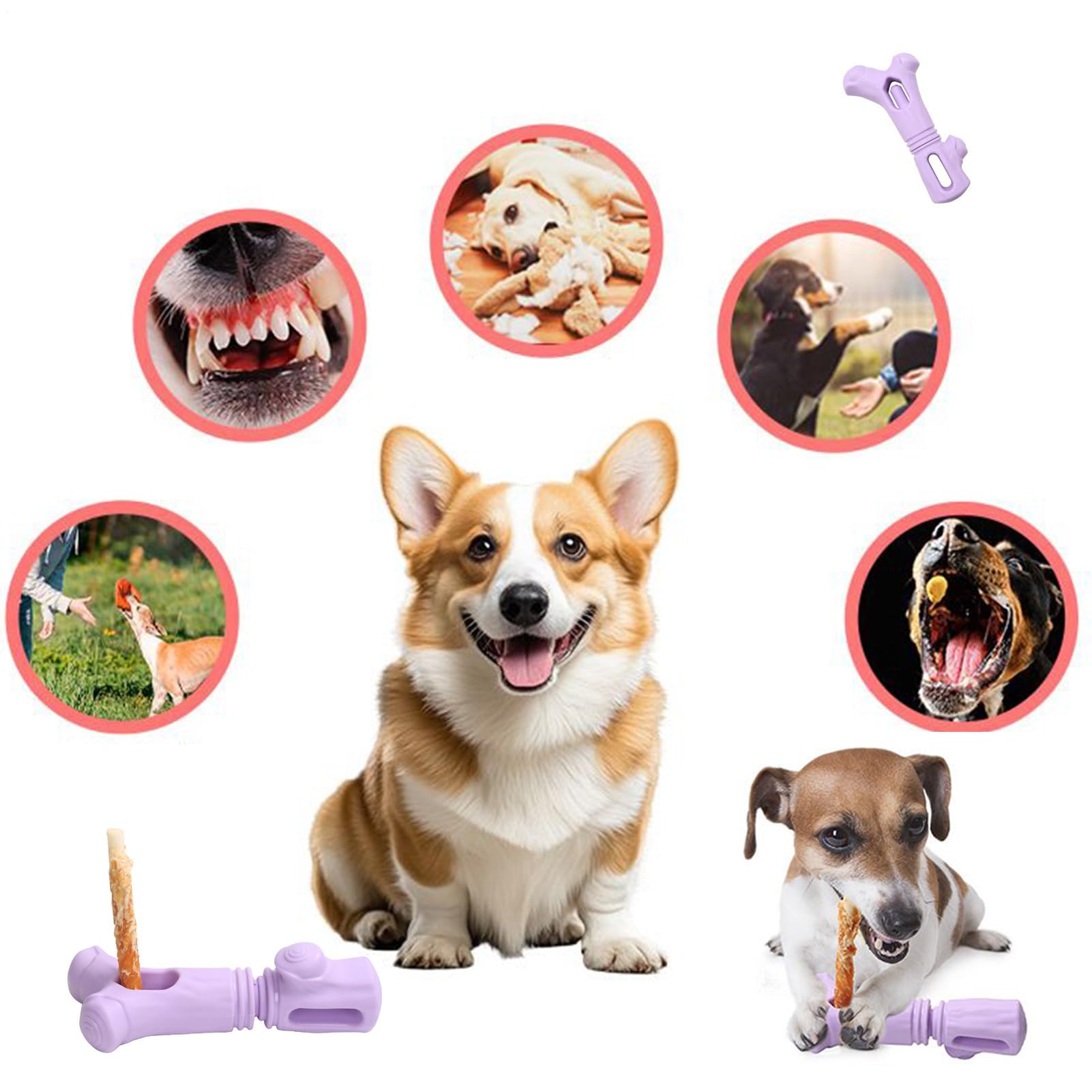 Generico Porta Bastoncini Cani Contenitore per Masticazione Cuccioli | Contenitore Bastoncini Da Masticare per Casa Ufficio Viaggio Gabbia Soggiorno Camera Proprietari di Animali Addestratori