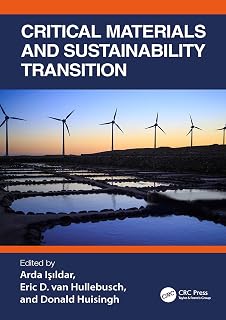 Critical Materials and Sustainability Transition (Theorizing Education)