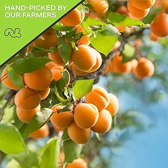 NUT CRAVINGS - Dried Turkish Apricots, No Sugar Added, Unsweetened (16oz, 1 LB) Sweet Healthy Snack, Vegan, Resealable Bag