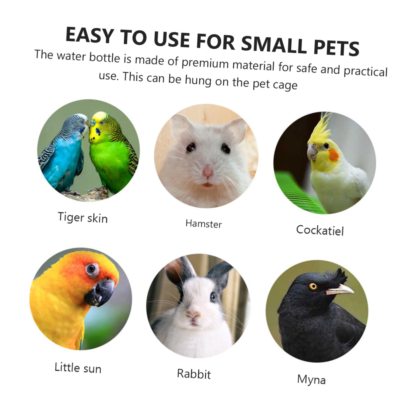 BESPORTBLE 6 Pièces Biberon Lapin Nain Distributeur Eau Suspendu pour Petits Animaux Étanche sans Fuite Pratique pour Rongeurs et