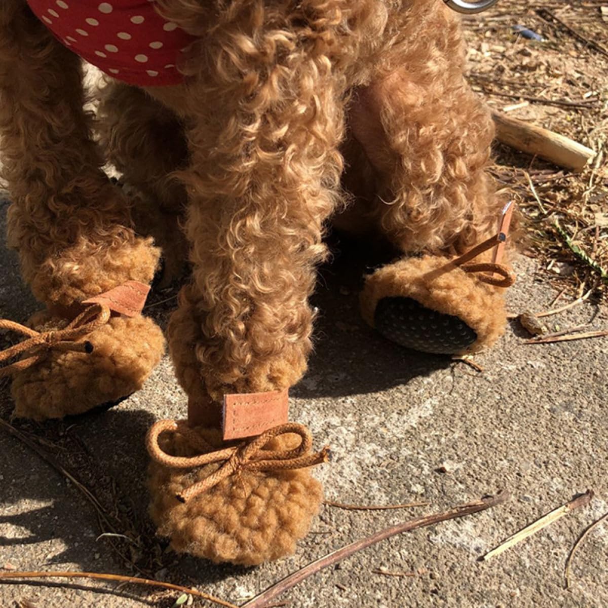 Angoily 12stücke Hundeschuhe Winter rutschfeste Plüsch-pfotschuhe Für Hunde Und Warm Braun Für Outdoor-aktivitäten Und Pfotenschutz Bei Kaltem Wetter