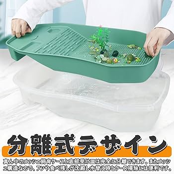 茶道具 鉄製水注 アシに亀 箱入 亀水槽 フタ付き 鈴木製作所 カメ水槽360(360×230×175) | チャーム