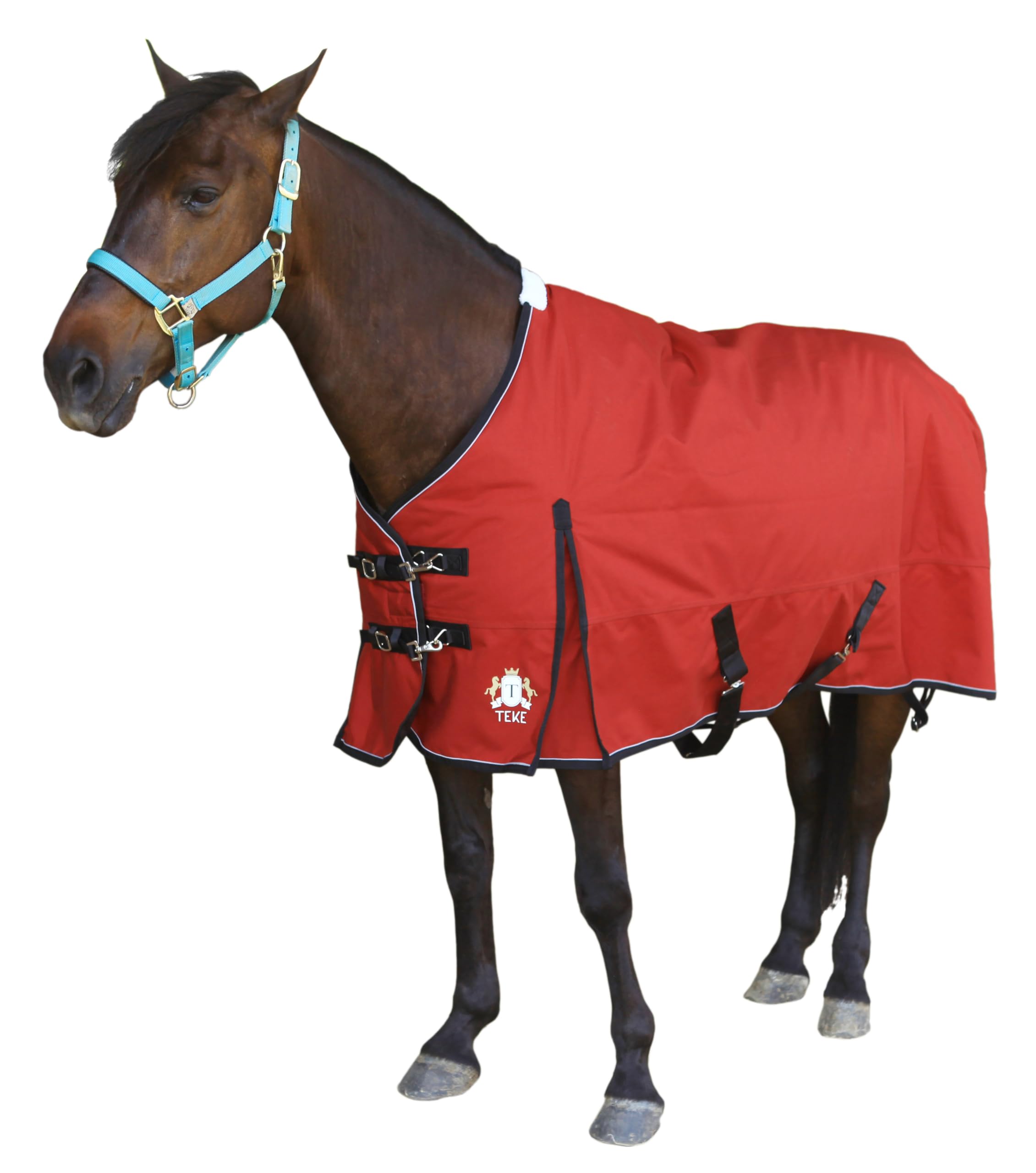 T TEKE Ultimate Turnout Sheet for Horses, 1050D Ballistic Nylon Outer, No Filling