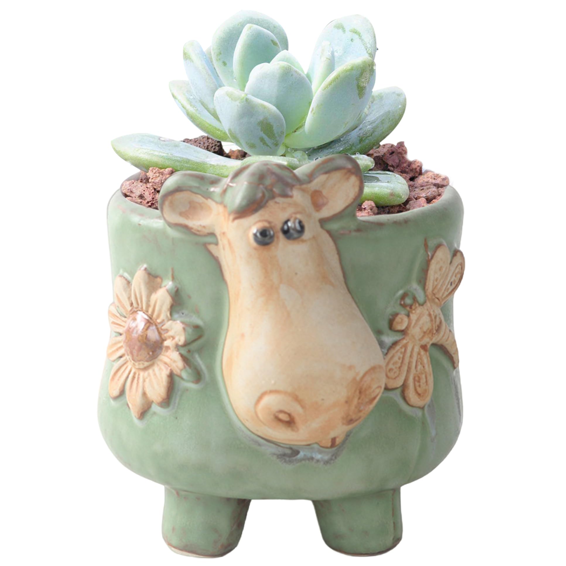 Pots à succulentes avec drainage pot sur pieds en céramique pour plante grasse intérieure