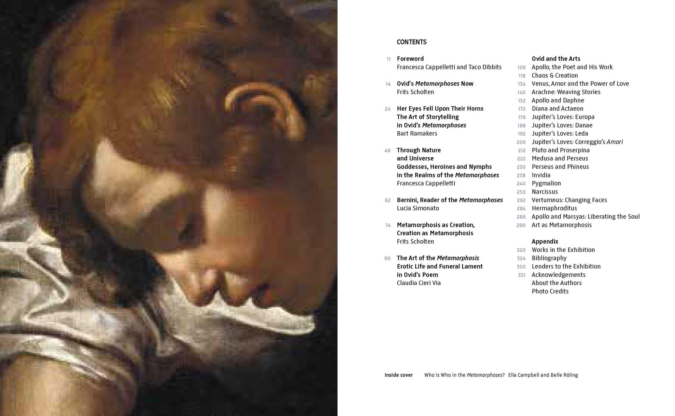Metamorphoses : Ovid s Art /anglais