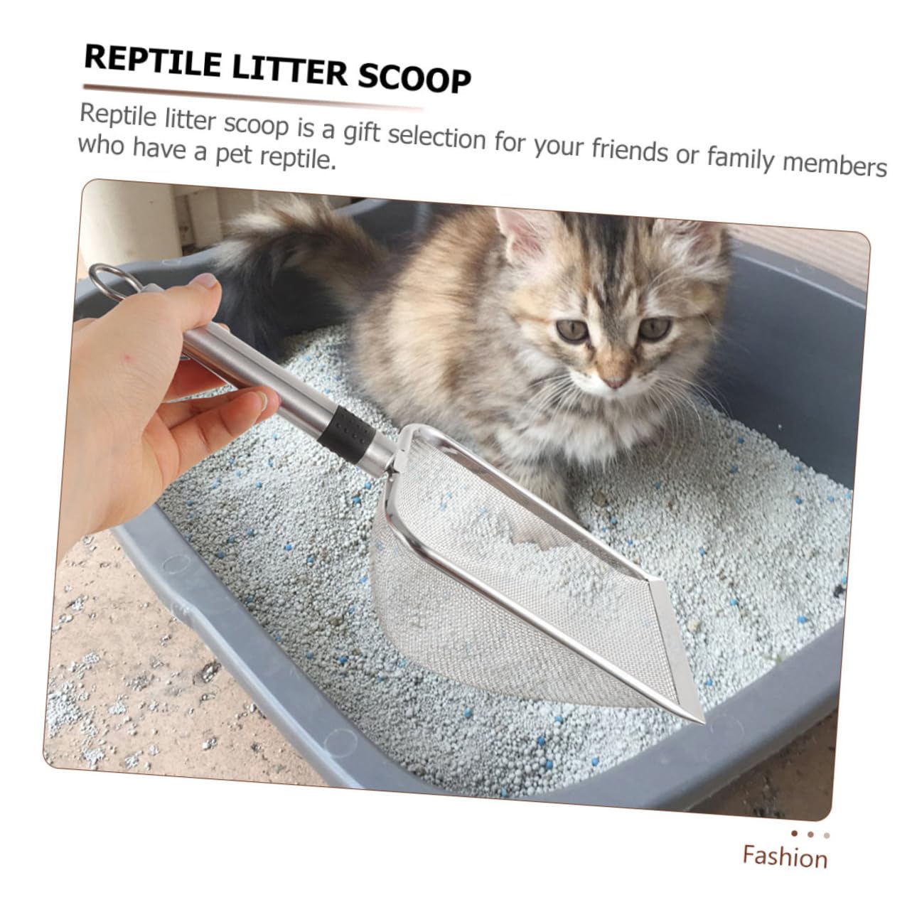 Toyvian Pelle à Litière pour Reptiles Acier Inoxydable avec Poignée Ergonomique pour Nettoyer Terrariums de Tortues Lézards Serpents et Autres Animaux Reptiles