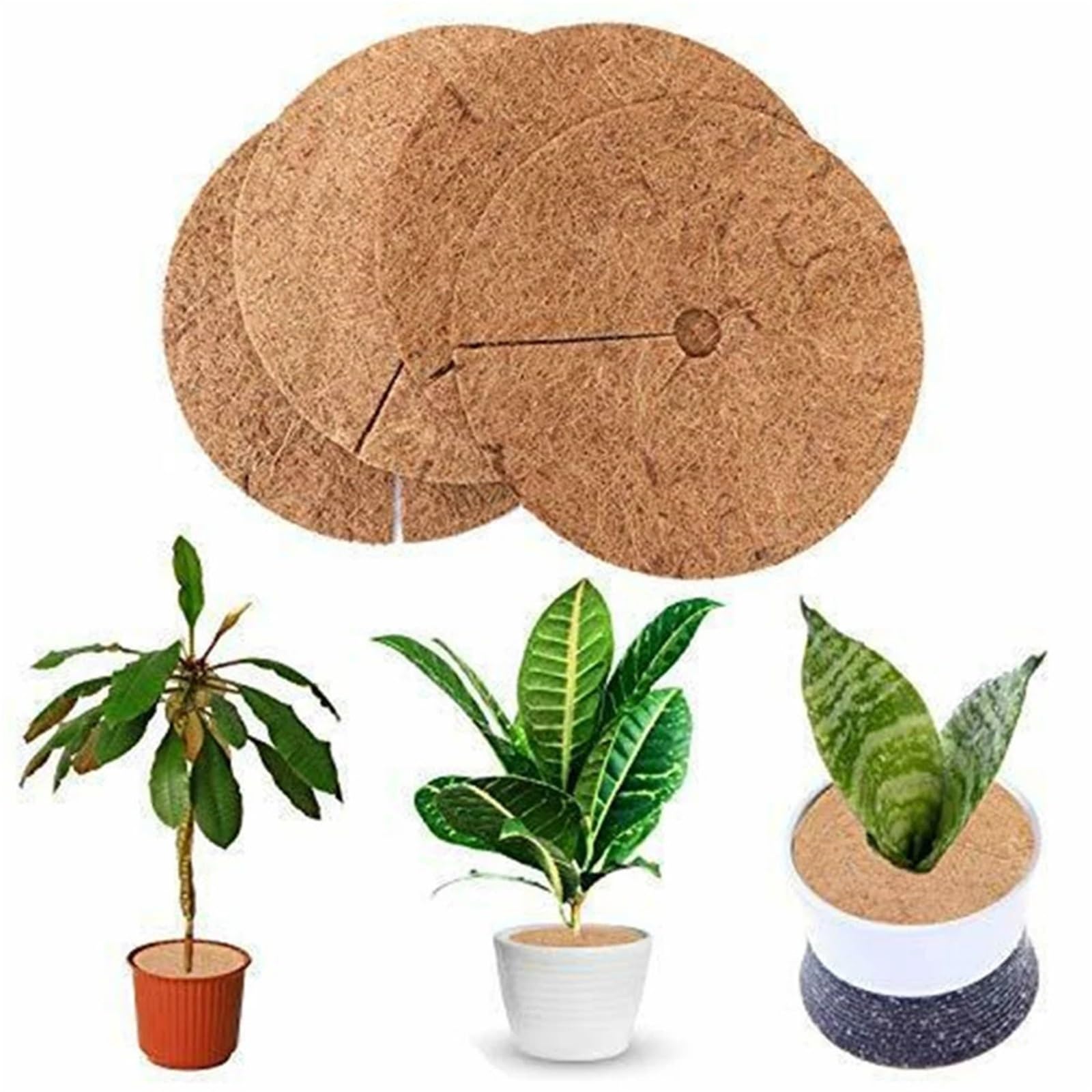 Kokosmatte 6er-Pack Kokosnussmulchschalen, Durchmesser 30 cm, Winterschutz for Pflanzen, Pflanzgefäße