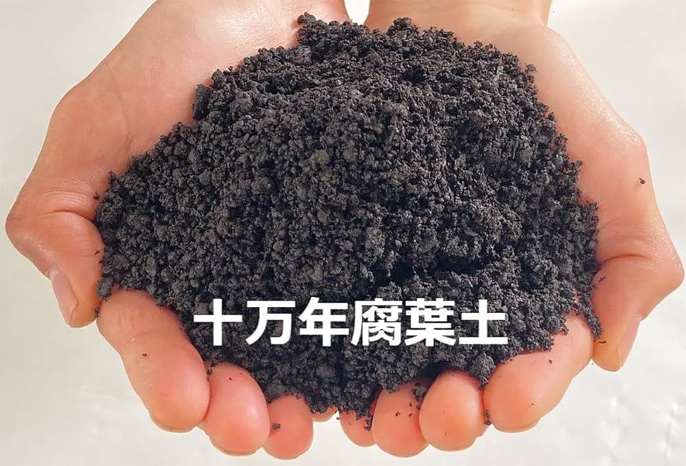 園芸養土・薬品 super bud reborn SUPERBUD REBORN - 室内園芸 Flora Farm 03-6416-5200