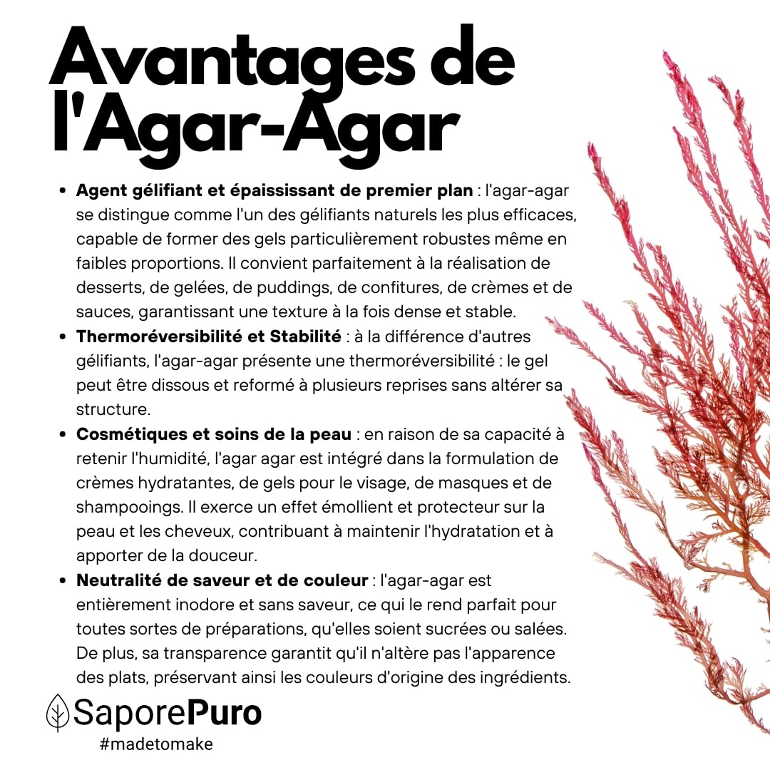 SaporePuro AGAR AGAR en poudre 1 kg – Gélifiant naturel SANS GLUTEN – Idéal pour la cuisine moléculaire, épaississant pour desserts, confitures, flans et glaces