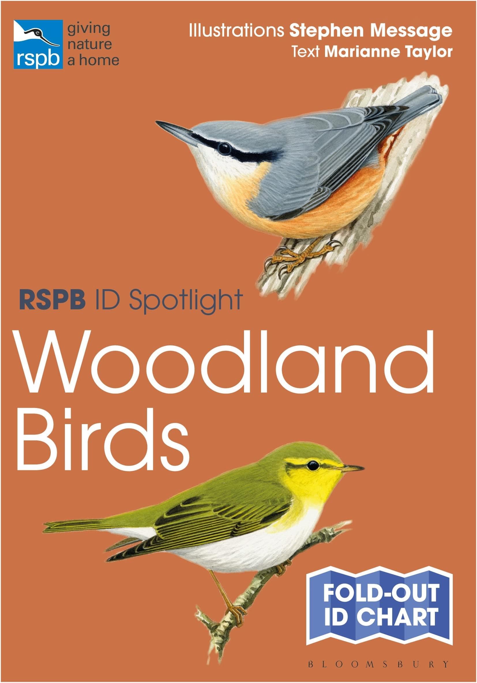 RSPB ID Spotlight - Woodland Birds