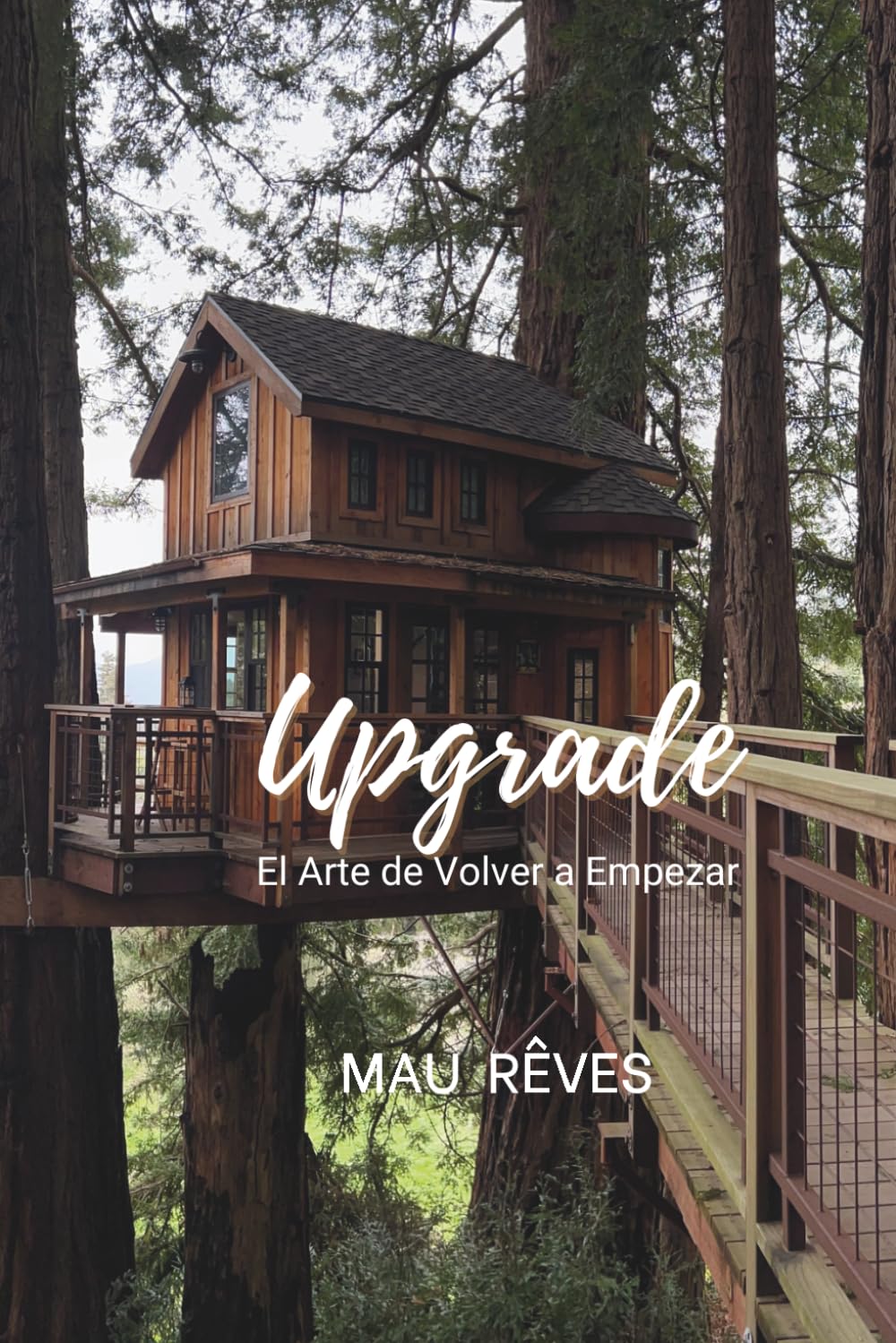 Upgrade: El arte de volver a empezar