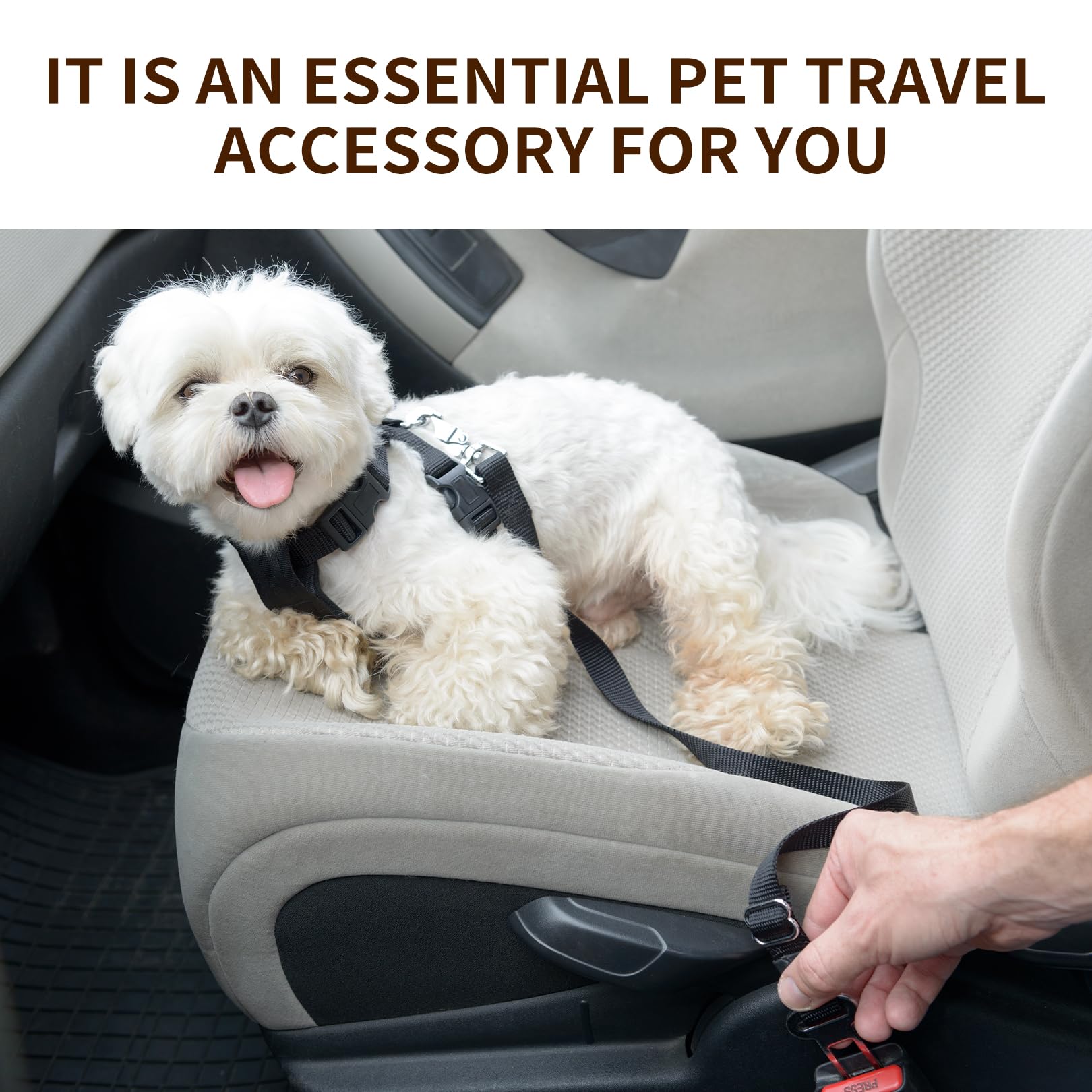 2 Pièces Ceinture Chien Voiture,Harnais Laisse de Sécurité Chat Securite Chiens Accessoires Attache Rallonge Transport en Accessoire Animaux Attacher,pour Chats Les Laisee et Chiot Compagnie Laisses