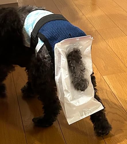 Amazon | 【うんぽキャッチャー】犬用うんちキャッチパンツ 食糞防止