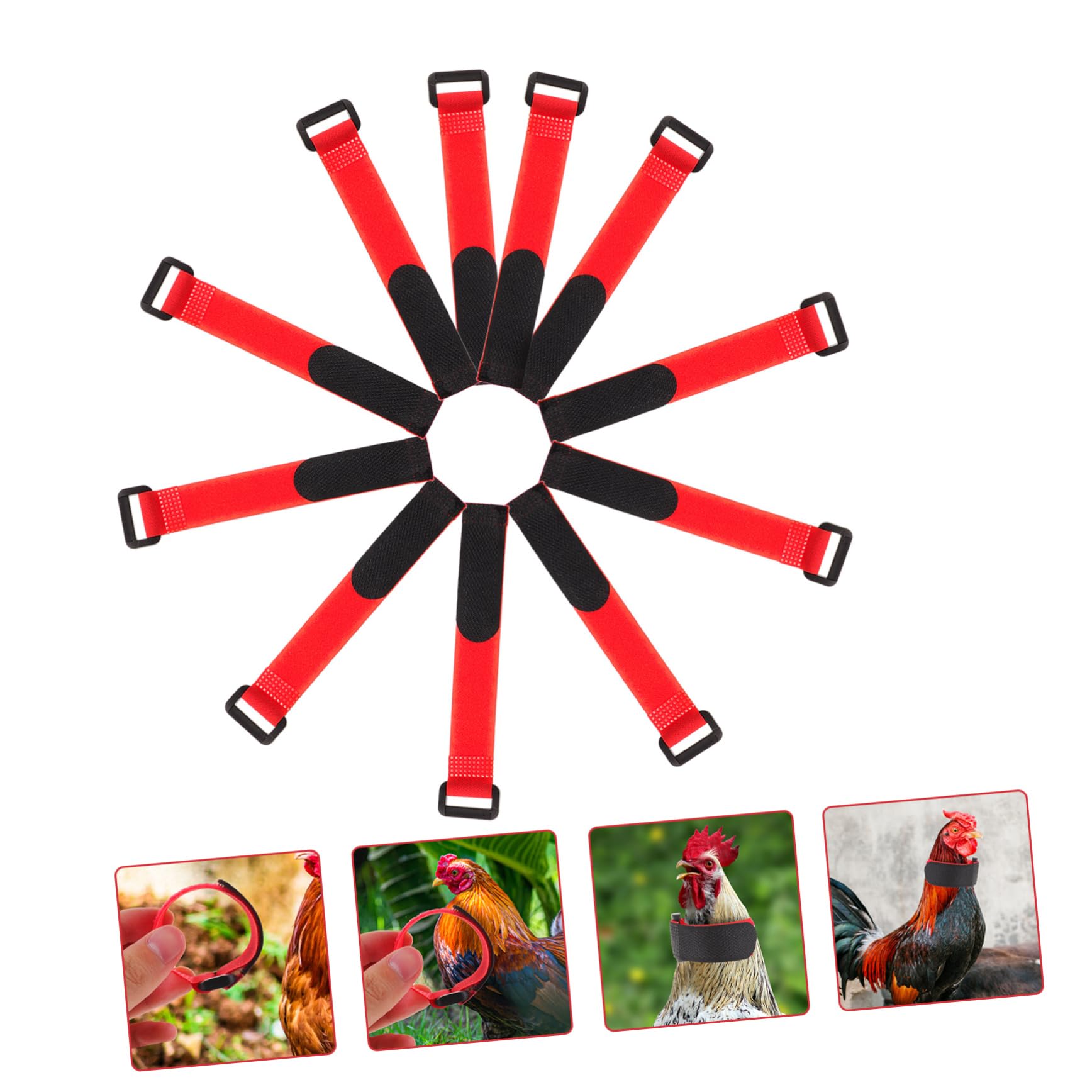 Beavorty 4 Set Di Collare Per Collare Per Pollo Anti-canto Rumore Fastidioso Robusto Nylon 10 Pezzi * 4