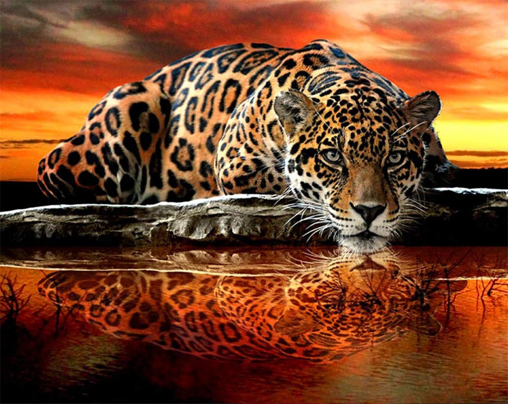 Nicole Knupfer 5D DIY Diamond Painting Kits,Leopard Full Bohrer Handgemachtes Crystal Strass Stickerei Cross Stitch Home Wanddekoration (100x70cm)