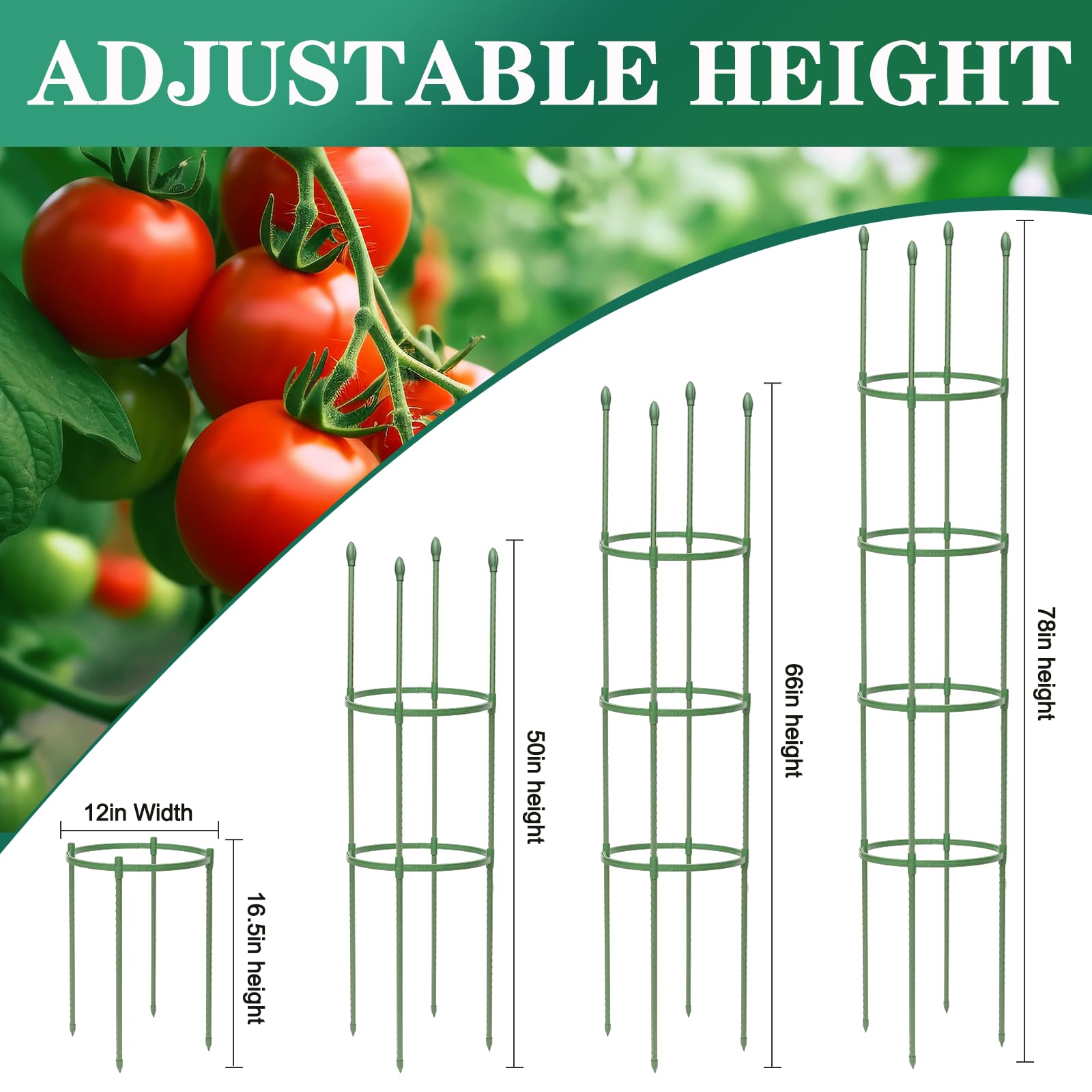 Jaulas de tomate para jardín, 50 pulgadas de alto, estacas de acero resistente, enrejado de pepino actualizado, para plantas trepadoras, vegetales y flores (redonda, 6)