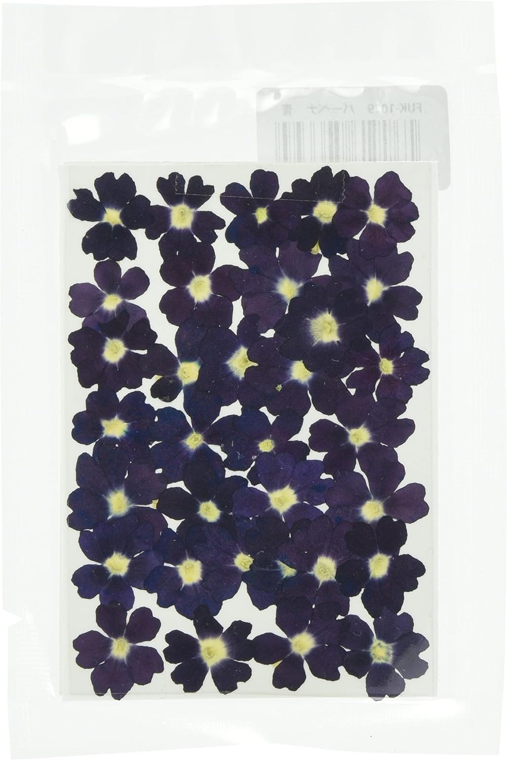 Fuchsan FUK-1024 Pressed Flower Pack, Verbena, Pink, Small
